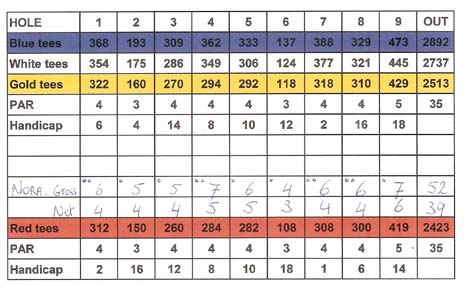 Golf score card for stroke play